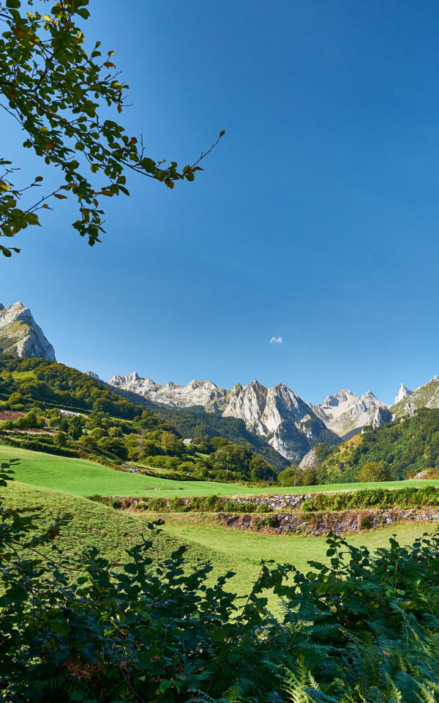 Vue du Cirque de Lescun depuis la prairie