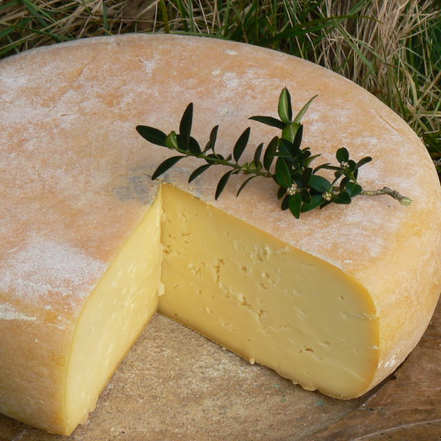 Queso típico de oveja