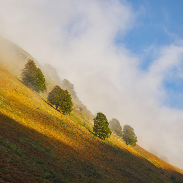 Paysage de montagne dans le cirque de Lescun en vallée d'Aspe