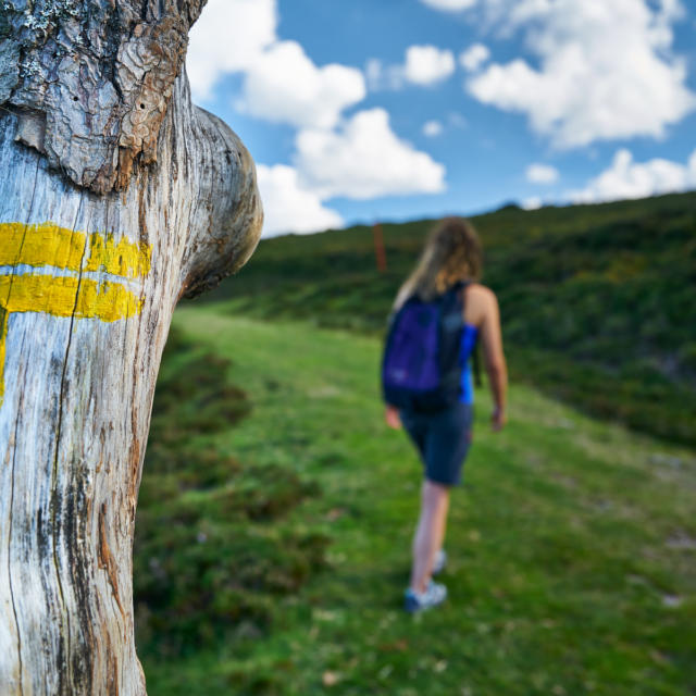 randonneuse passant à côté d'une signalétique directionnelle sur un arbre