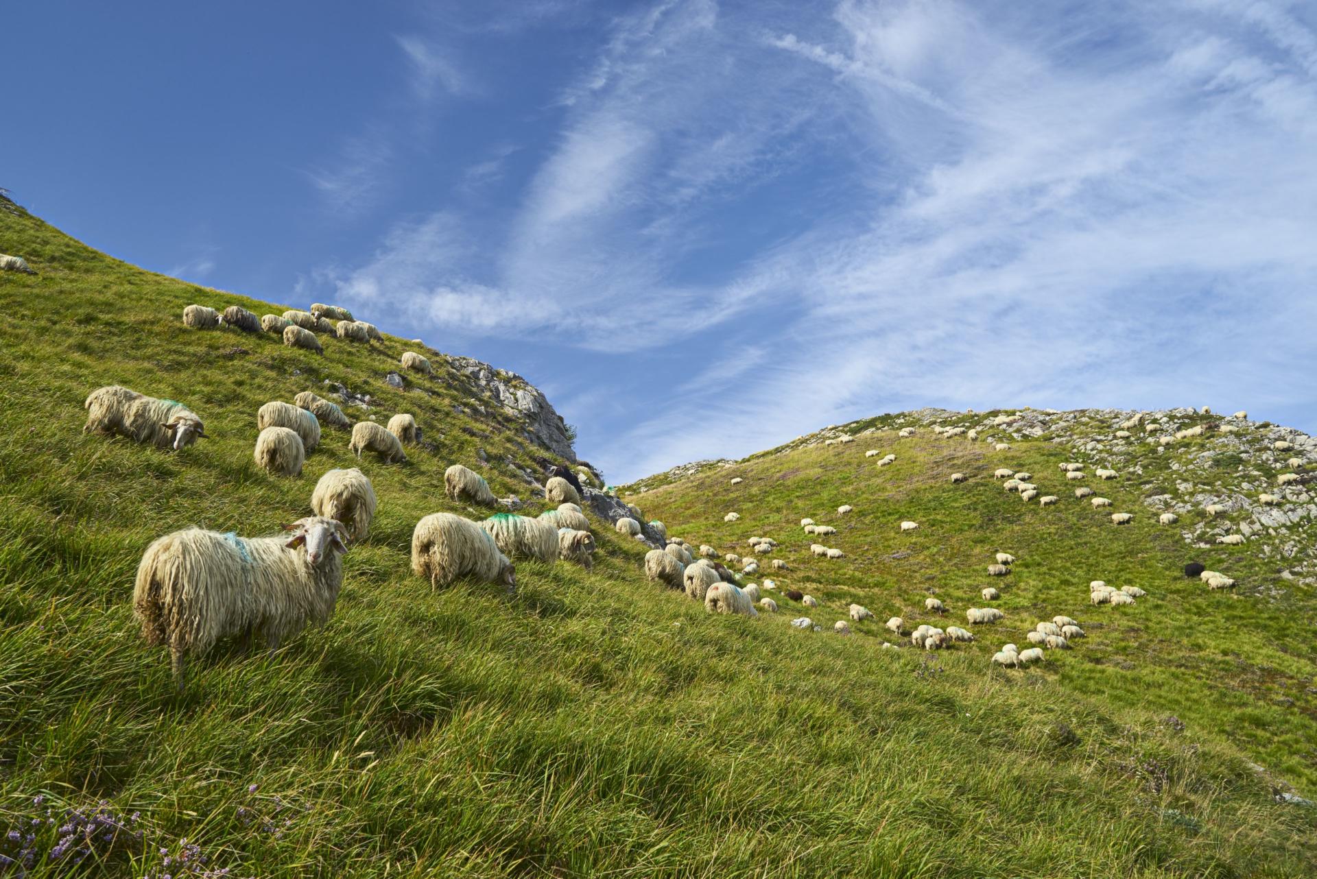 Quel Est Le Meilleur Mois Pour Visiter Les Pyrénées