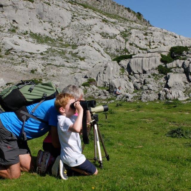 Observation des marmottes accompagnée d'un guide à la Pierre Saint-Martin