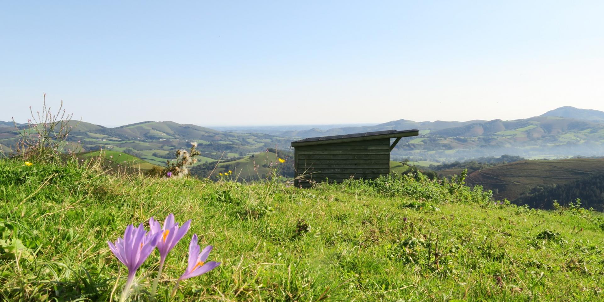Vue en montant aux Pantières de Lanne en Barétous