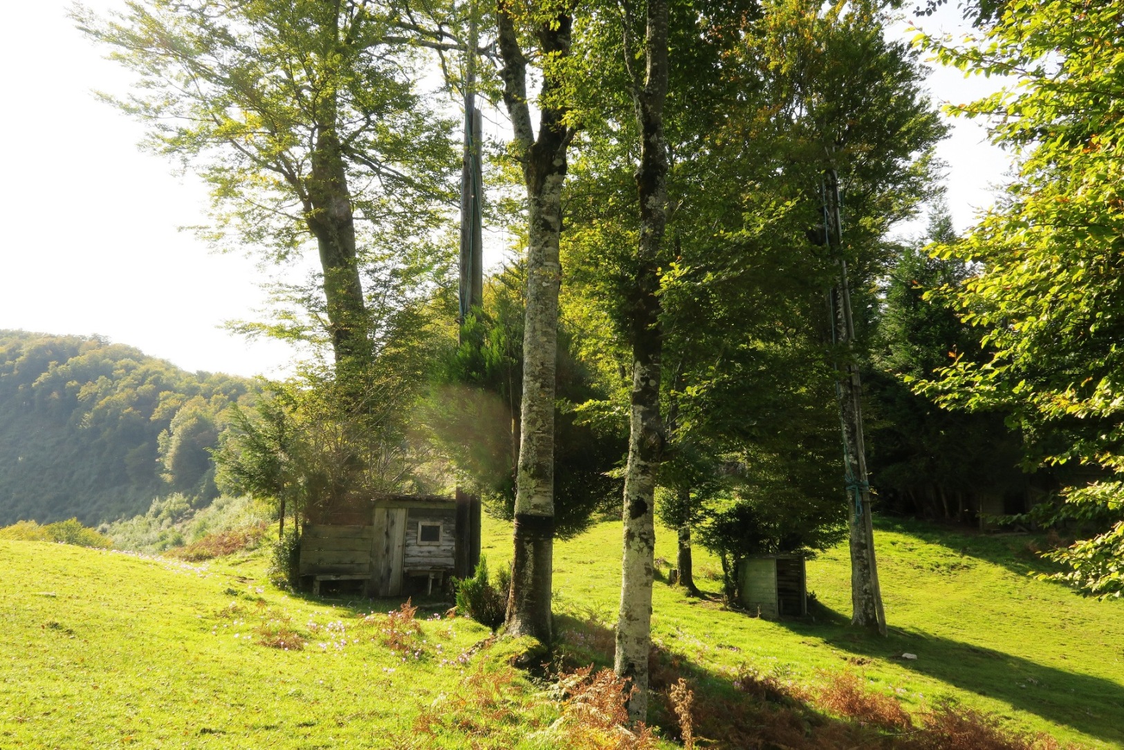 Un poste de chasse