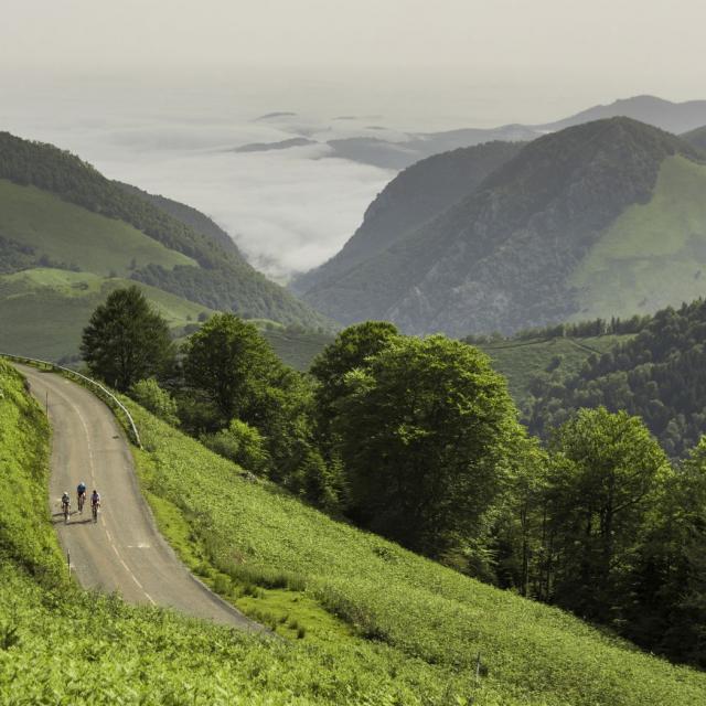 Groupe d'amis durant la montée d'Issarbe à vélo (Pyrénées béarnaises)