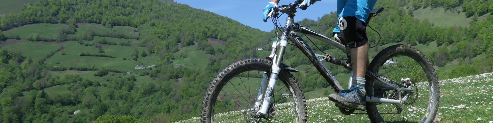 Descente VTT en Pyrenees béarnaises