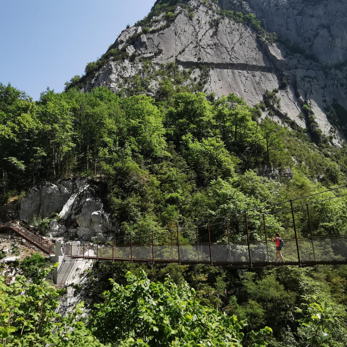 Historia del Bearne Web oficial del Pirineo Bearnés