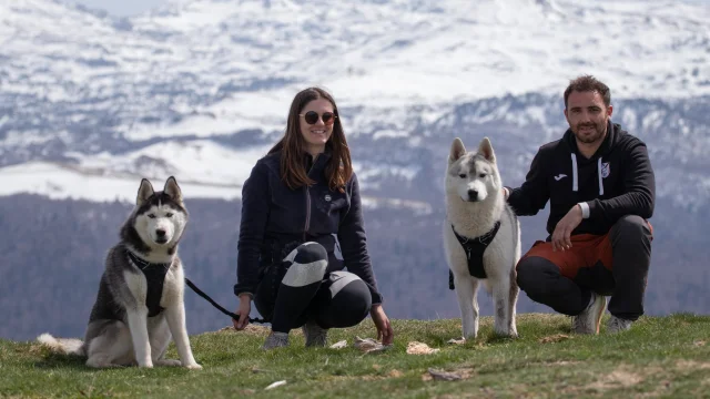 Randonner Avec Ses Chiens
