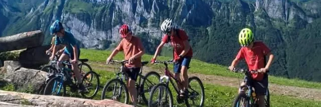 VTT Rando Bike