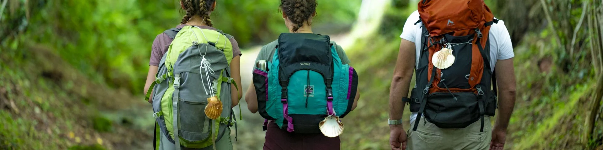 Pelerins Sur Le Chemin De Compostelle