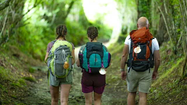 Pelerins Sur Le Chemin De Compostelle