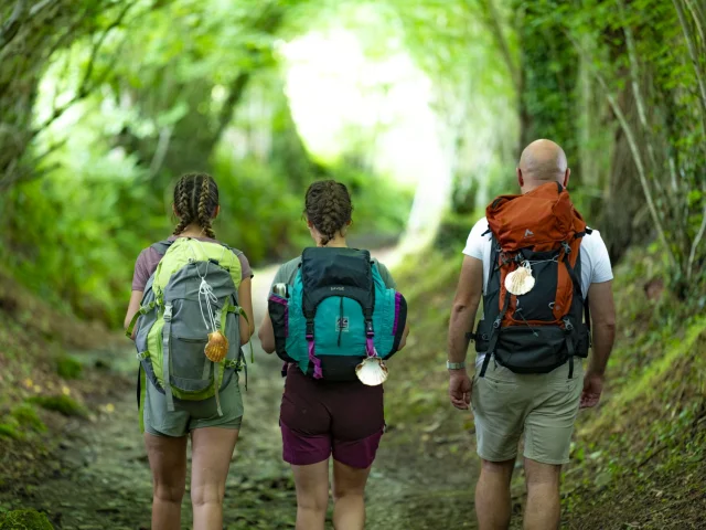 Pelerins Sur Le Chemin De Compostelle