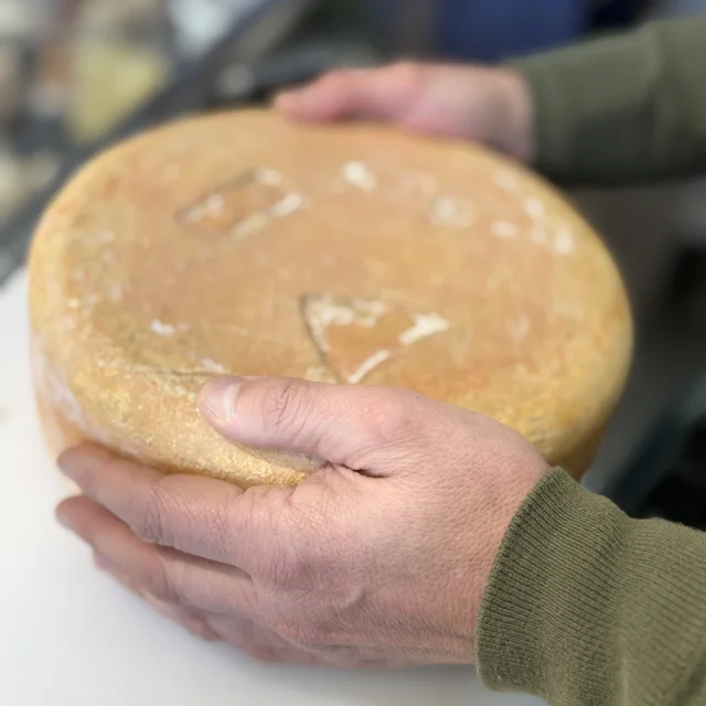 Tomme De Fromage