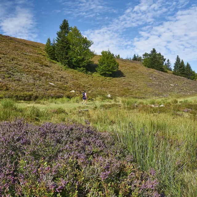 Valle de Baretous, Issarbe y La Pierre.