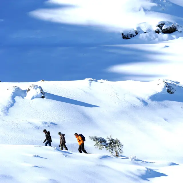 Issarbe, station de ski, sports d'hiver, vallée de Barétous en Pyrénées béarnaises.