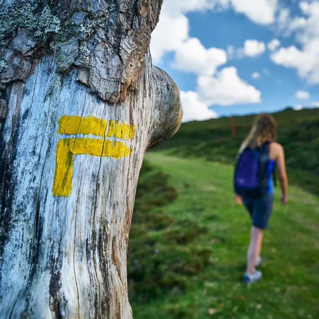 Randonnée à Issarbe en vallée de Barétous en Pyrénées béarnaises.