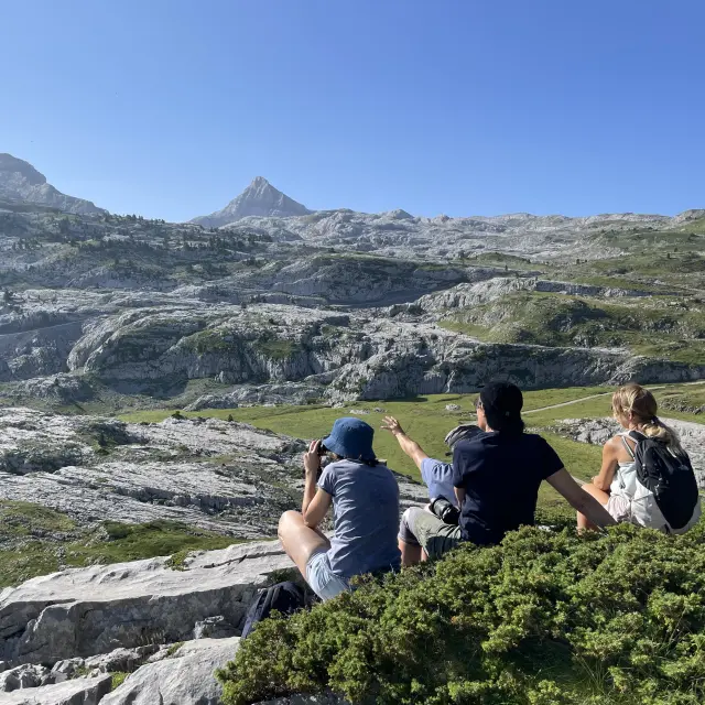 Sur la trace des marmottes à la Pierre Saint-Martin en Pyrénées béarnaises.