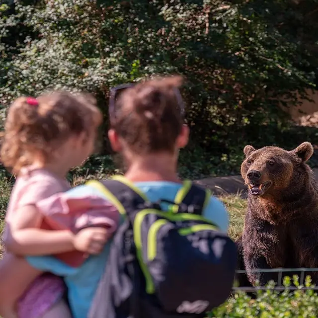 Parc'Ours