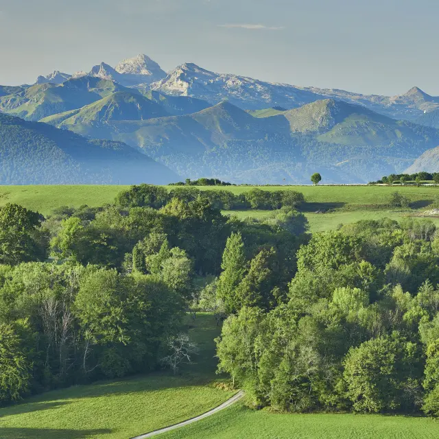 Haut Bearn, piemont Oloron