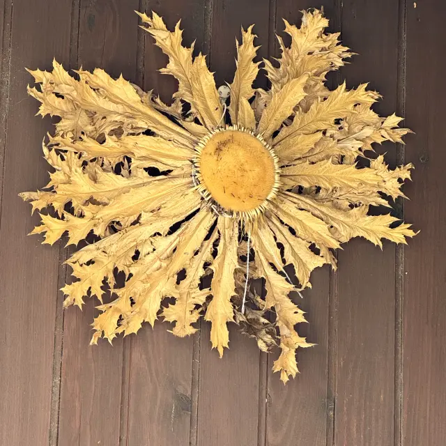 Fleur séchée en Pyrénées espagnoles.